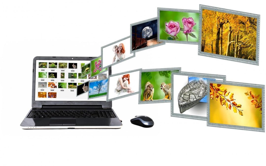Domain Name Basics for your Business